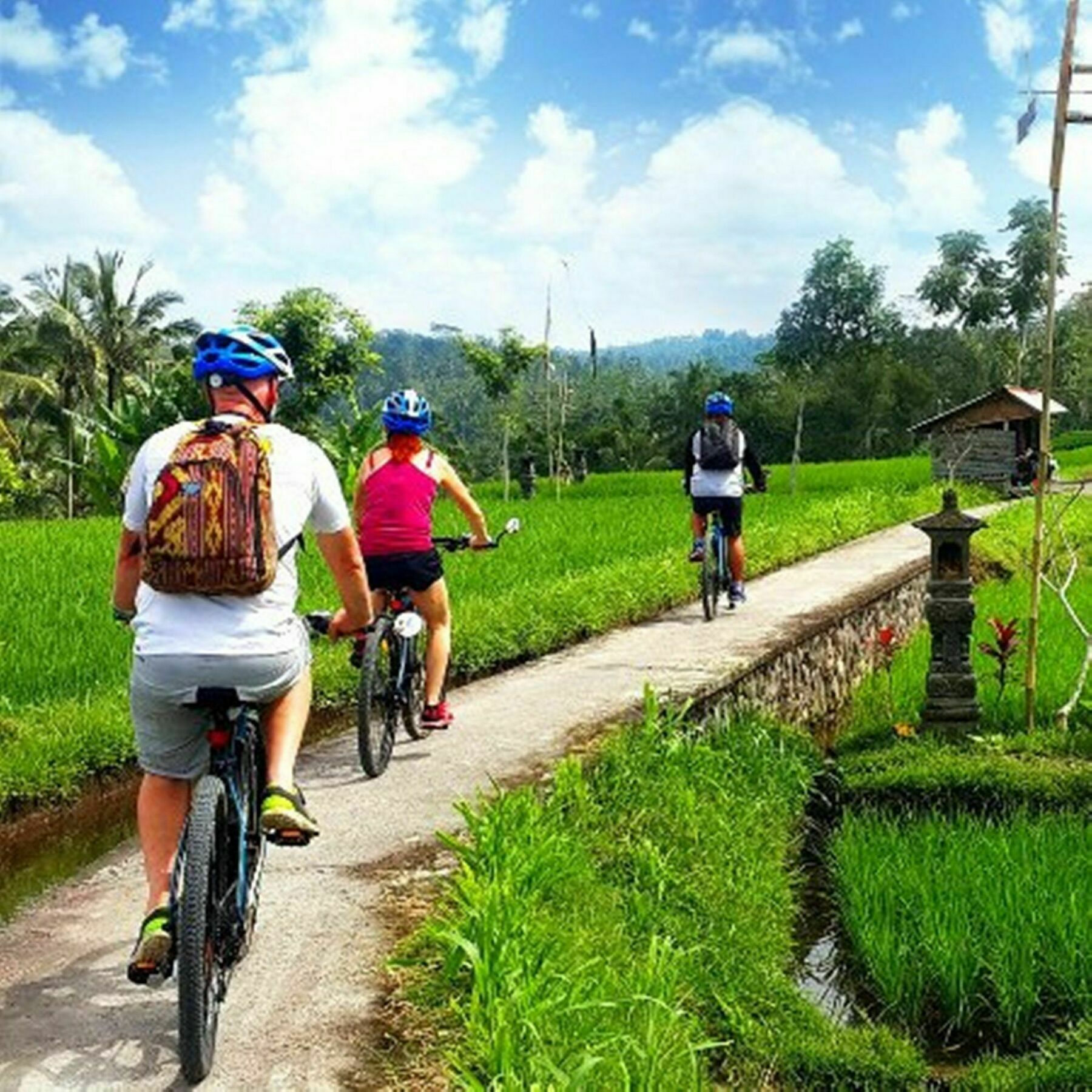 Omah D'Taman By Eps Otel Ubud Dış mekan fotoğraf